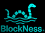 Blockness Logo
